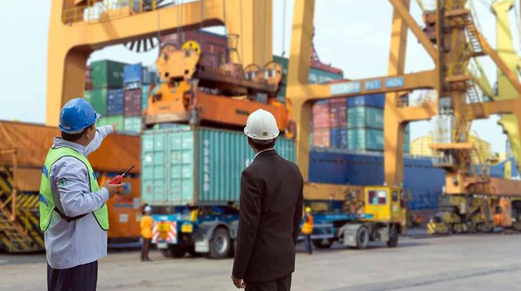 Suspension bridge among trees