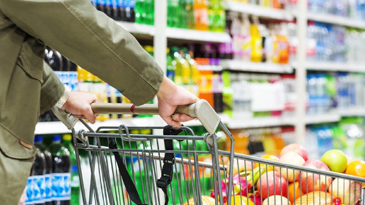 Treetops at golden hour